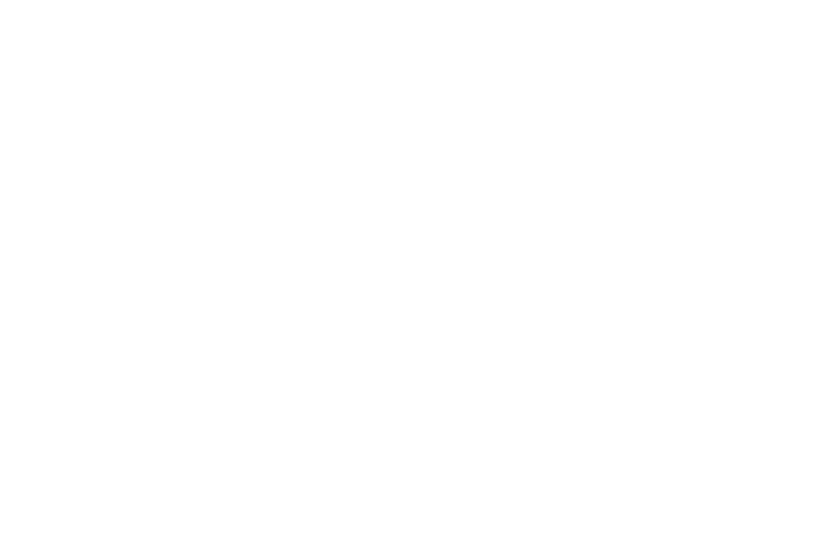 100.Yıl Beşiktaşlılar Derneği